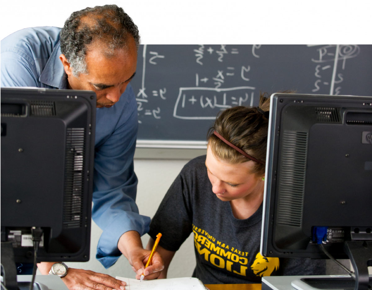 A math professor explaining to a student in the computer lab.