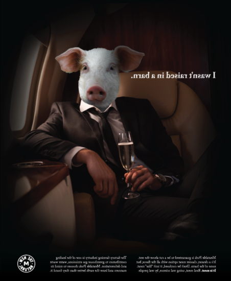 A pig looking person in a fancy plane.