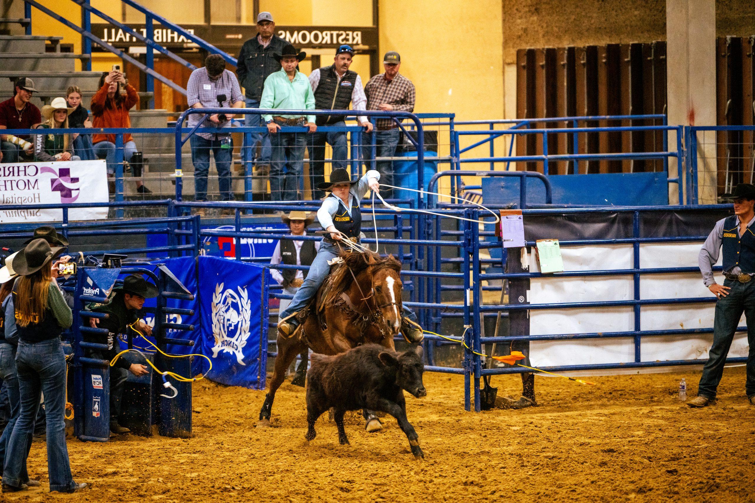 A male riding a horse at the rodeo.